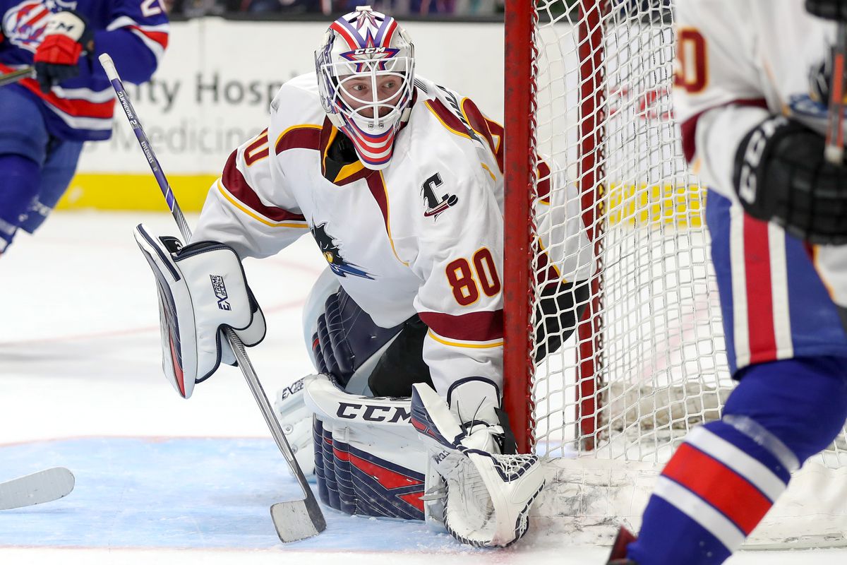 AHL: DEC 15 Rochester Americans at Cleveland Monsters