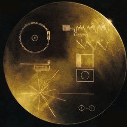 This undated handout image provided by NASA shows a message carrying Golden Record that Voyager carried, a phonograph record-a 12-inch gold-plated copper disk containing sounds and images selected to portray the diversity of life and culture on Earth. Astronomers have their own cosmic version of the single person"™s Valentine"™s Day dilemma: Do you wait for that interesting person to call you or do you make the call yourself and risk getting shot down?