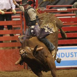 Steve Woolsey from Payson, Utah, rides a bull during the Days of '47 Rodeo on Monday, July 22, 2013 in Salt Lake City.