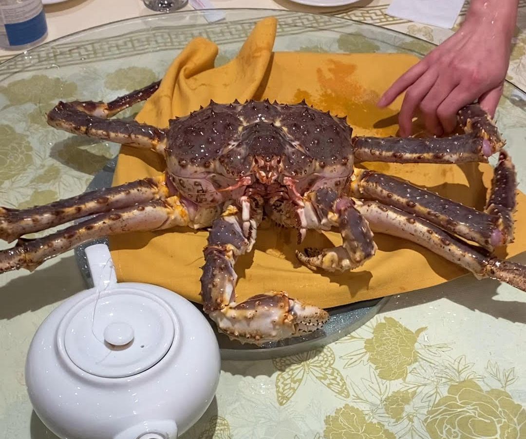 A semi-restrained live king crab squirms on a table at Wu’s Wonton King.