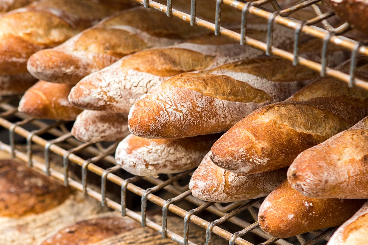 A picture of around a dozen round and baguette-style loaves on wire racks at Grand Central Bakery