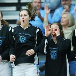 The Sky View bench celebrates a 3-pointer near the end of the game against Springville in the 4A state girls basketball playoffs in Salt Lake County Tuesday, Feb. 17, 2015. 