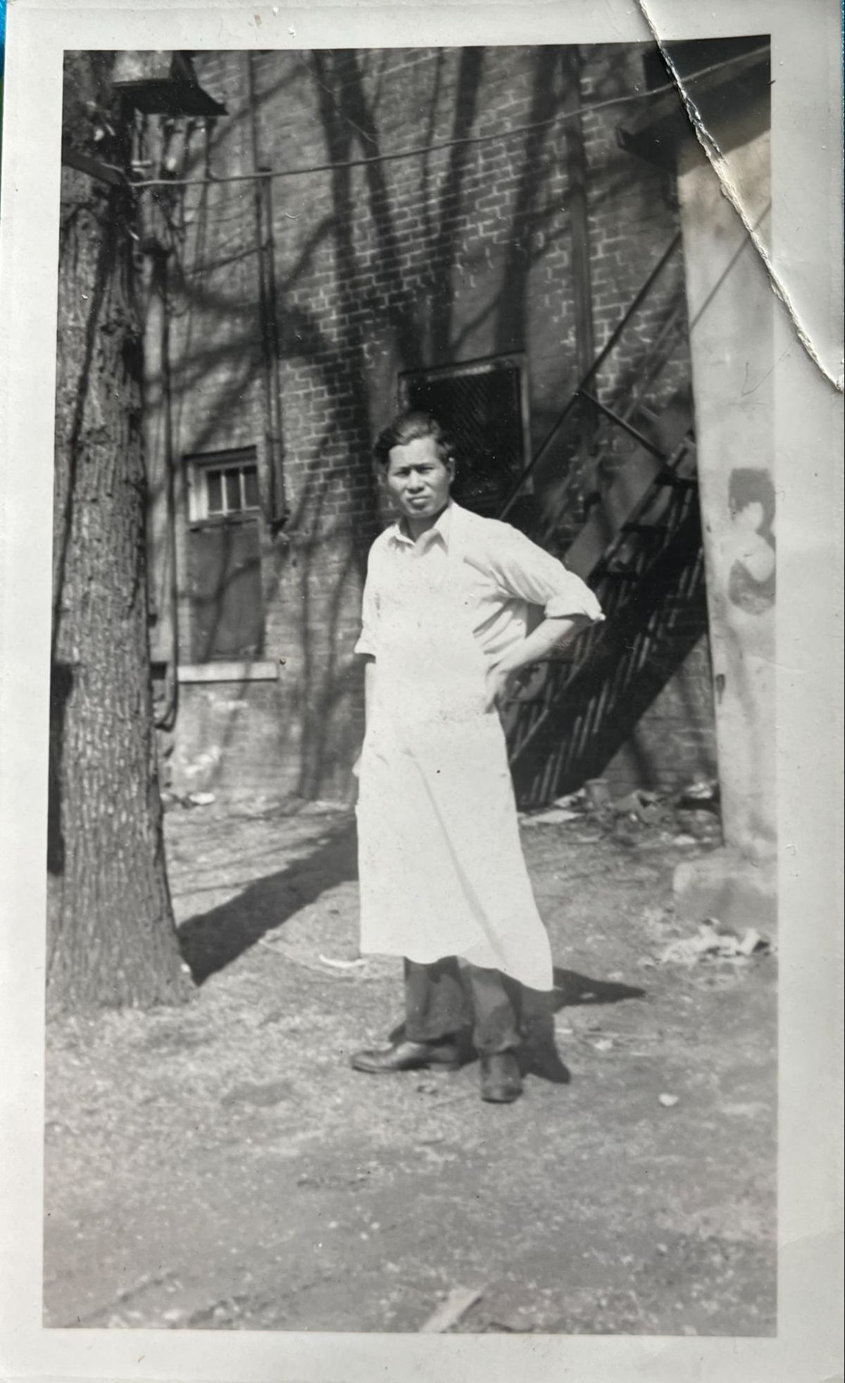 A mean in a white apron standing with arms on sides outside near a tree.