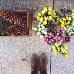 <b><a href="http://instagram.com/1956blooms">@1956blooms</a></b>: For all things aesthetically perfect and floral, look no further then Kaylyn of 1956 blooms. Floral designer and stylist, this Instagram will have you rushing to the Boston Flower Exchange.