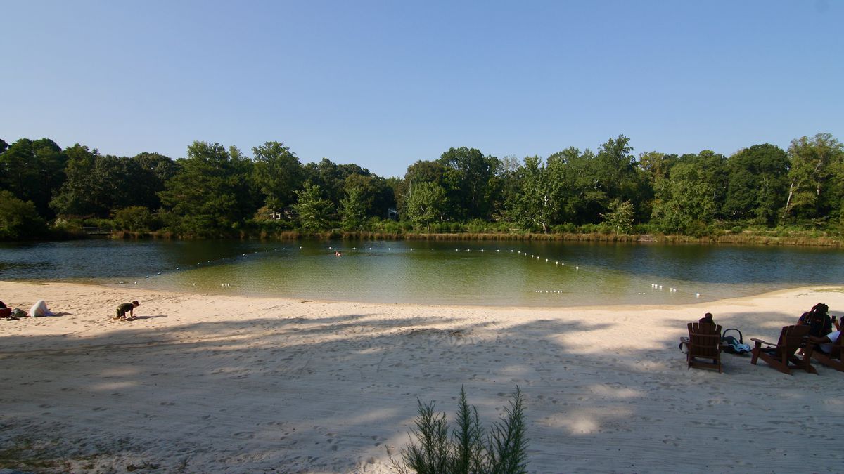 A lake with rope for public swimming and whitish sands with banks of trees beyond.