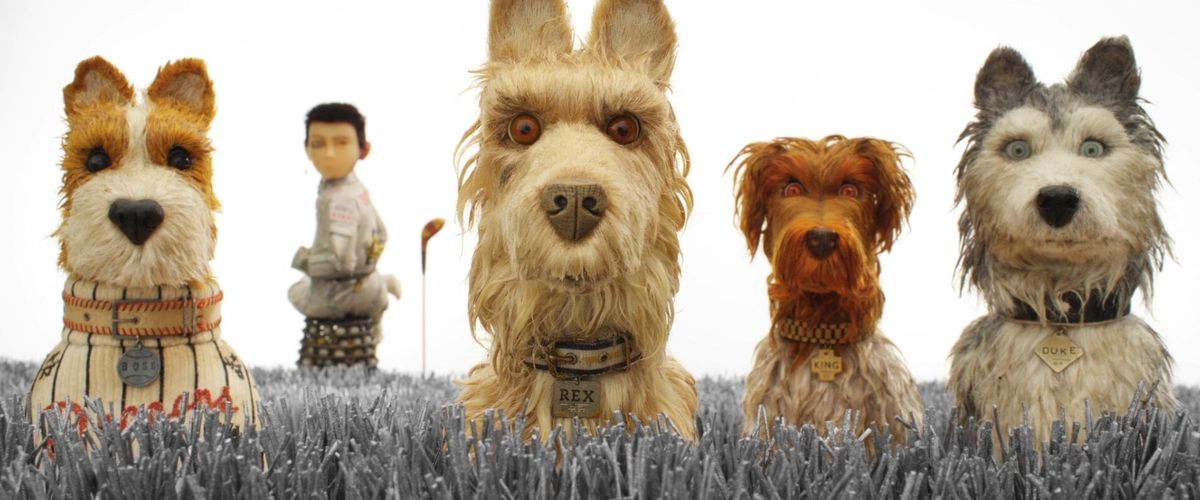 Isle of Dogs: Four dogs look straight at camera