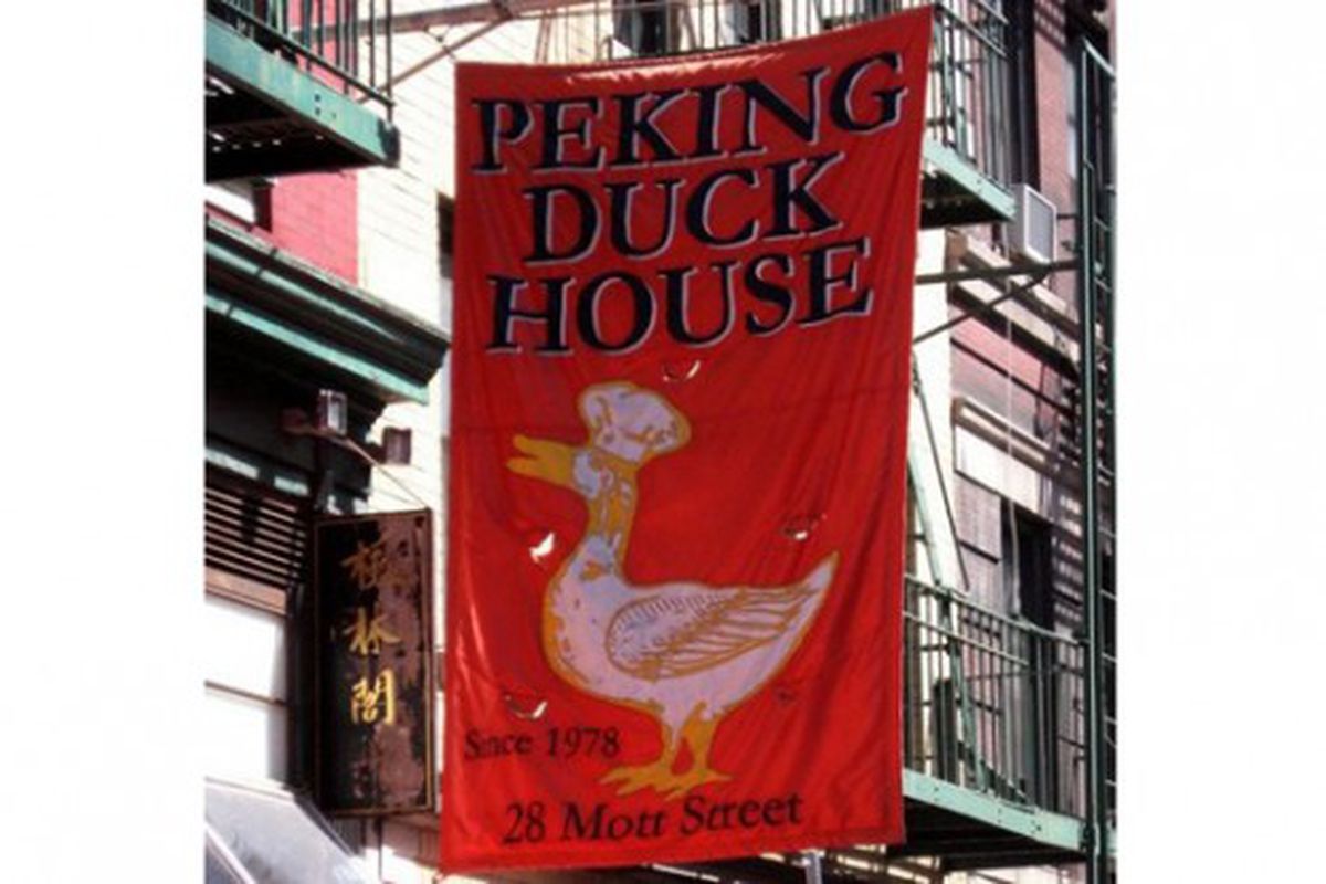Chinatown is full of interesting restaurant flags, but this is one of the best.  Just look at the duck's handsome white and gold plumage. (<a href="http://www.sinanbastas.com/2009/07/07/peking-duck-house-nyc/" rel="nofollow">photo</a>) 