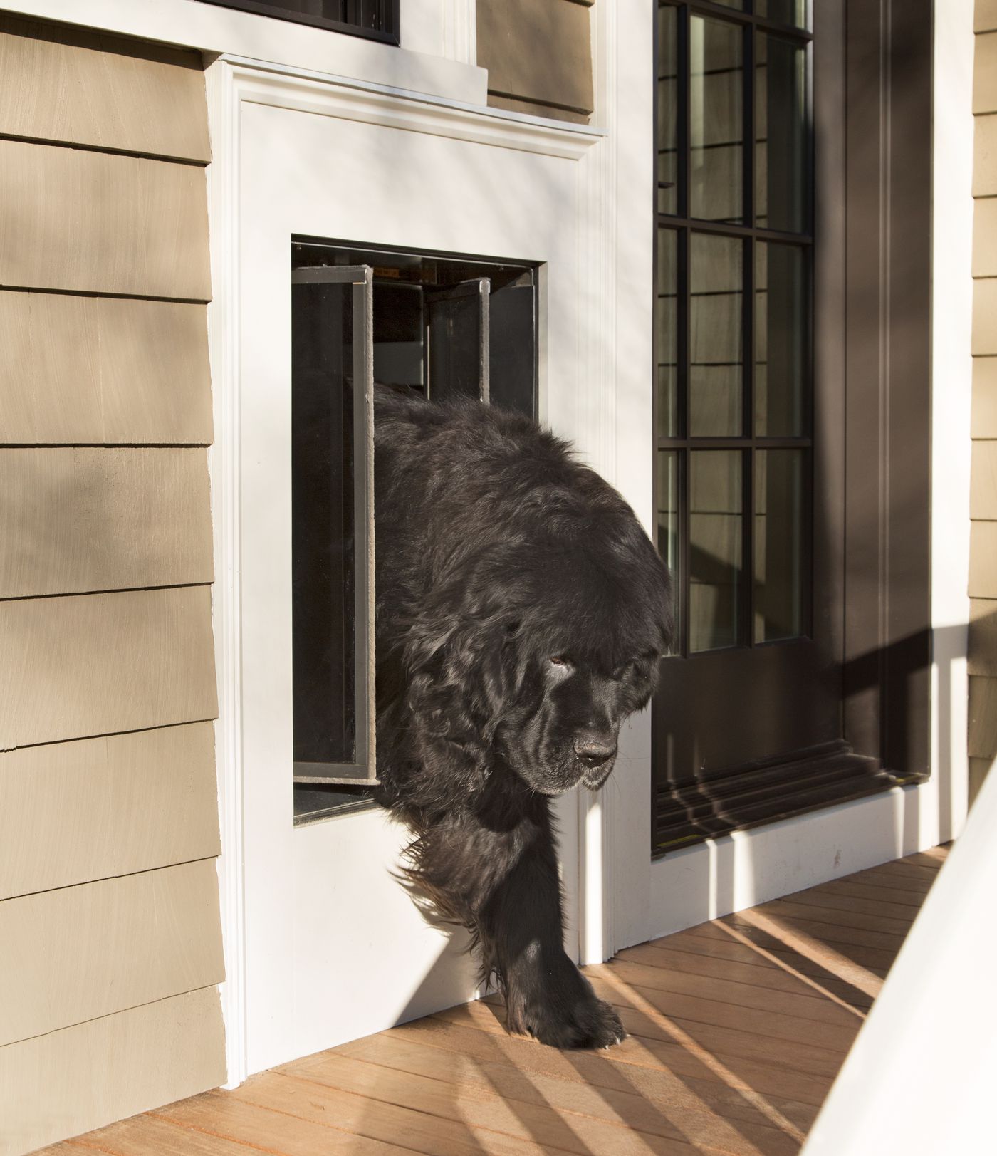 How To Install A Dog Door This Old House