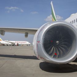 Other Ethiopian Airlines aircraft are seen in the distance behind an Ethiopian Airlines Boeing 737 Max 8 as it sits grounded at Bole International Airport in Addis Ababa, Ethiopia Saturday, March 23, 2019. The chief of Ethiopian Airlines says the warning and training requirements set for the now-grounded 737 Max aircraft may not have been enough following the Ethiopian Airlines plane crash that killed 157 people.