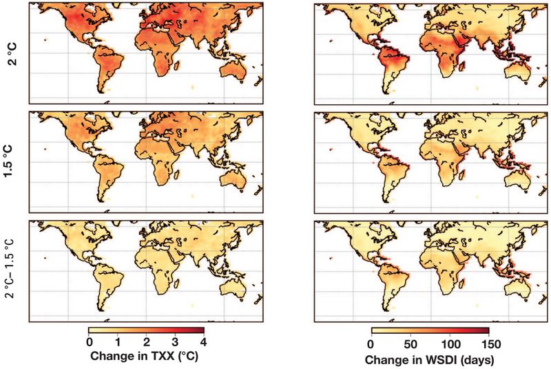 TXX measures heat extremes; WSDI measures the number of long (6+ day) hot spells.