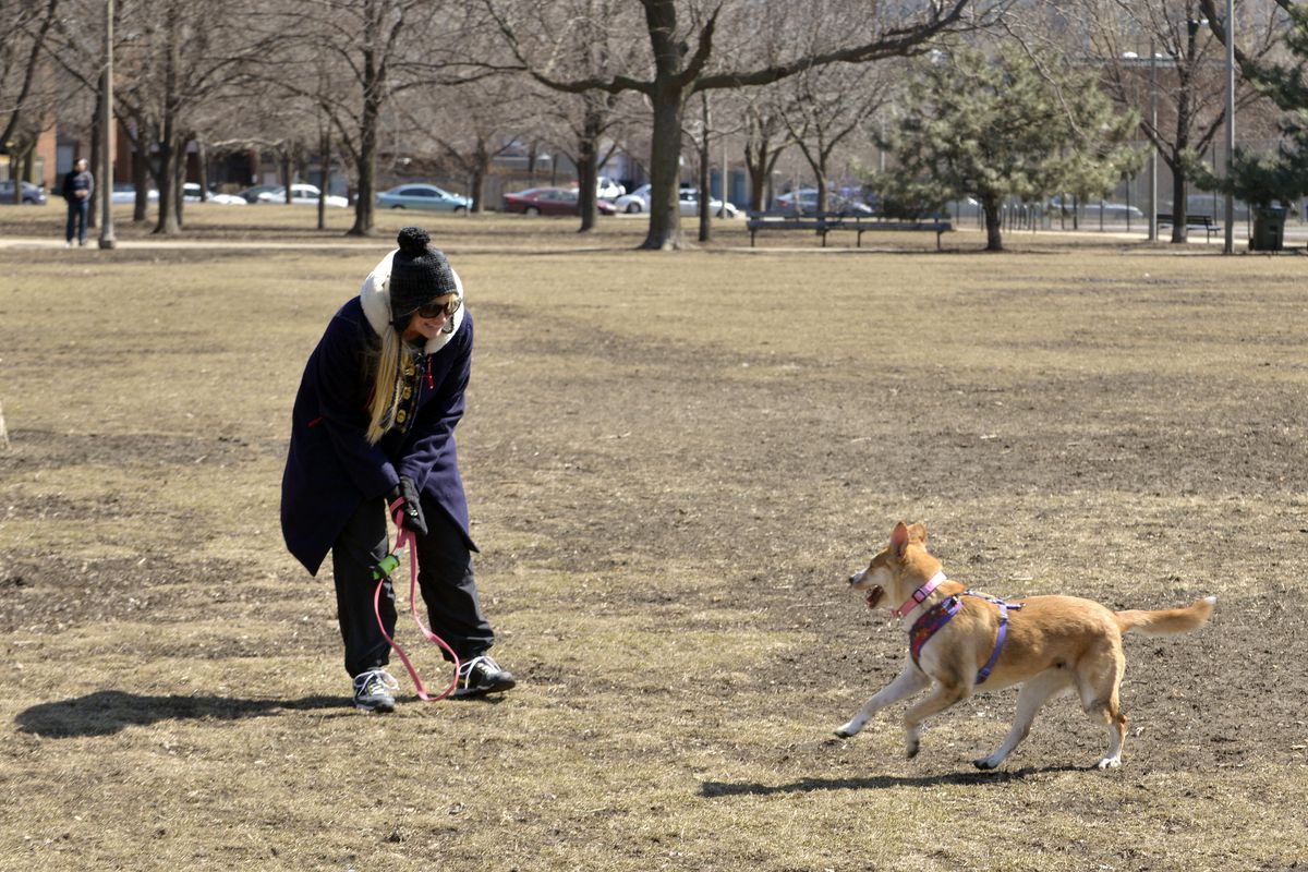 Hilary Bruce of Lincoln Park and her dog Nala play at Oz park. She said that she can’t wait till it gets a little warmer to take her dog to the dog beach. | Michael Schmidt/Sun-Times