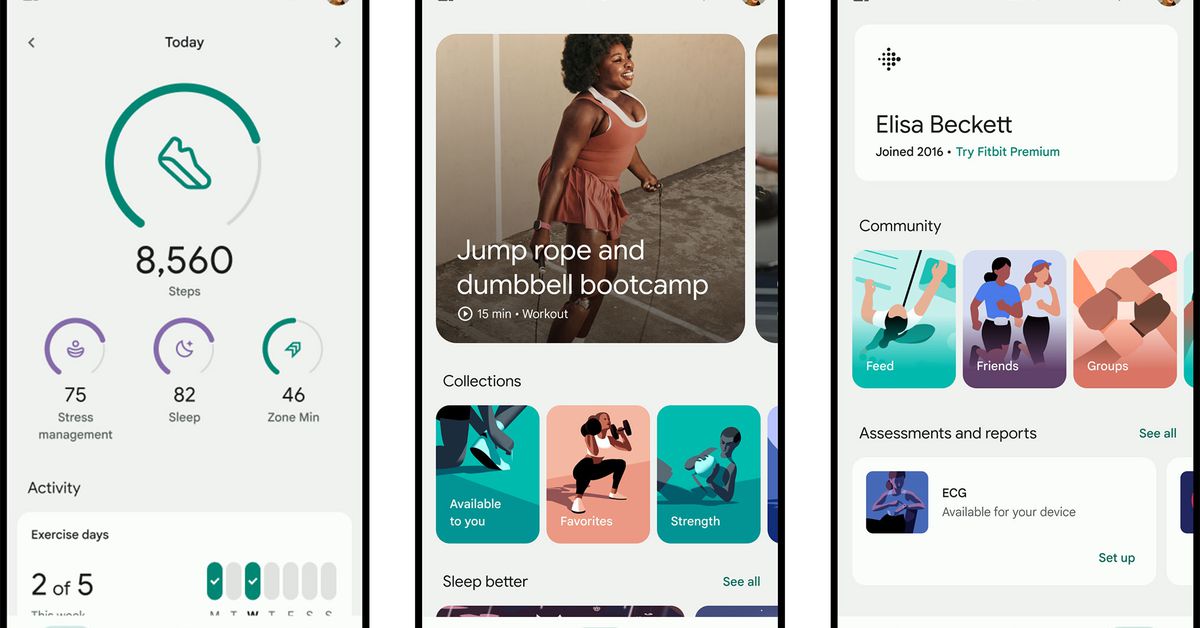 The Fitbit app is getting a streamlined new look this fall - The Verge