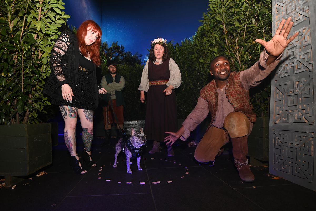 Rory the Frenchie from TikTok attends the The Witcher Season 3 UK Premiere and is heralded by a bard as his redheaded owner looks down