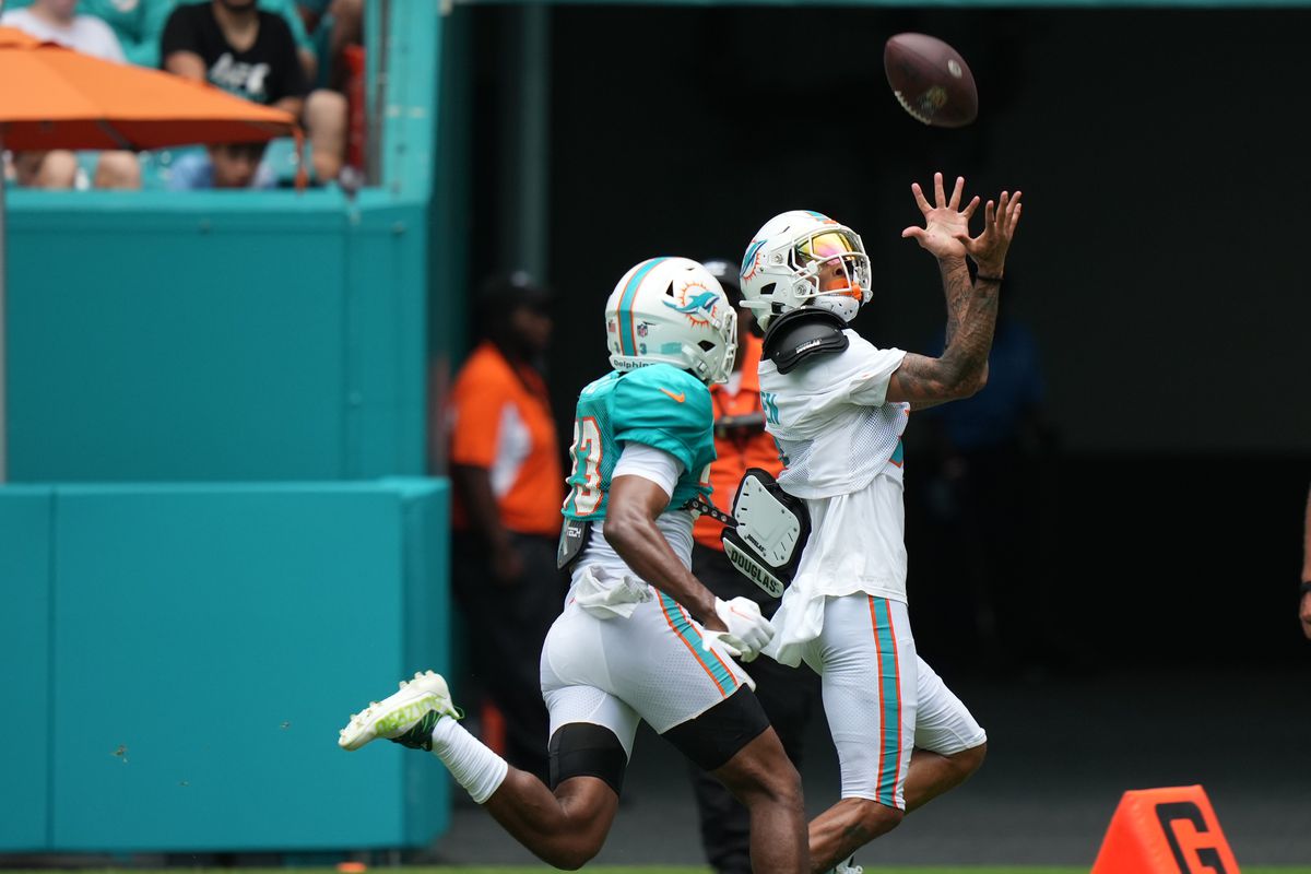NFL: AUG 05 Miami Dolphins Training Camp