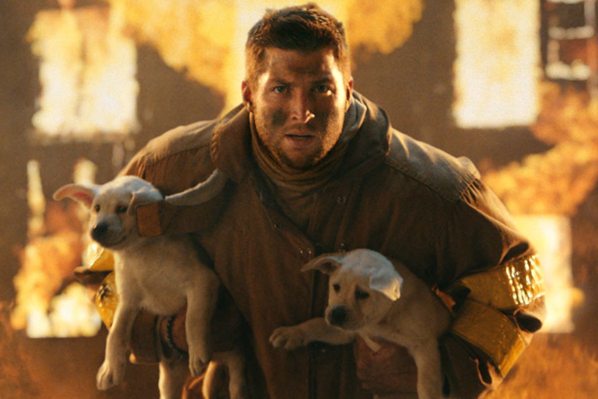 Tebow puppies