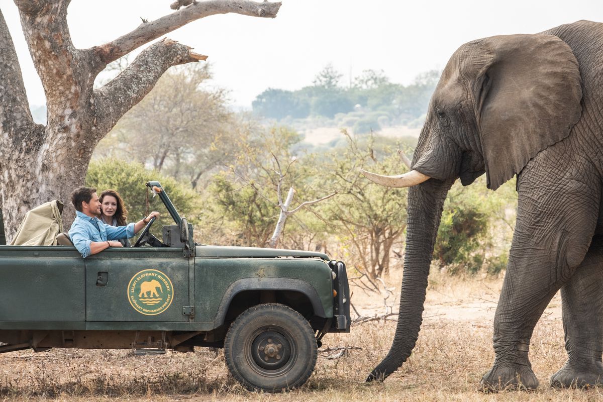 Rob Lowe and Kristin Davis in a car, facing an elephant.