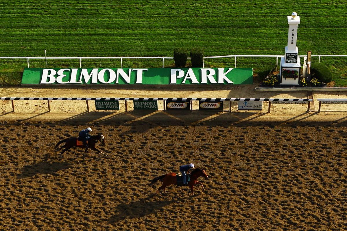 ELMONT, NY - JUNE 05:  Horses and exercise riders train during a morning workout at Belmont Park on June 5, 2012 in Elmont, New York.  (Photo by Al Bello/Getty Images)