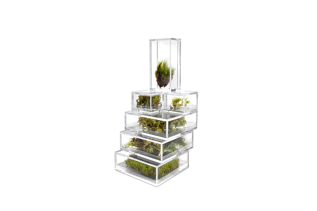 Mini terrariums stacked