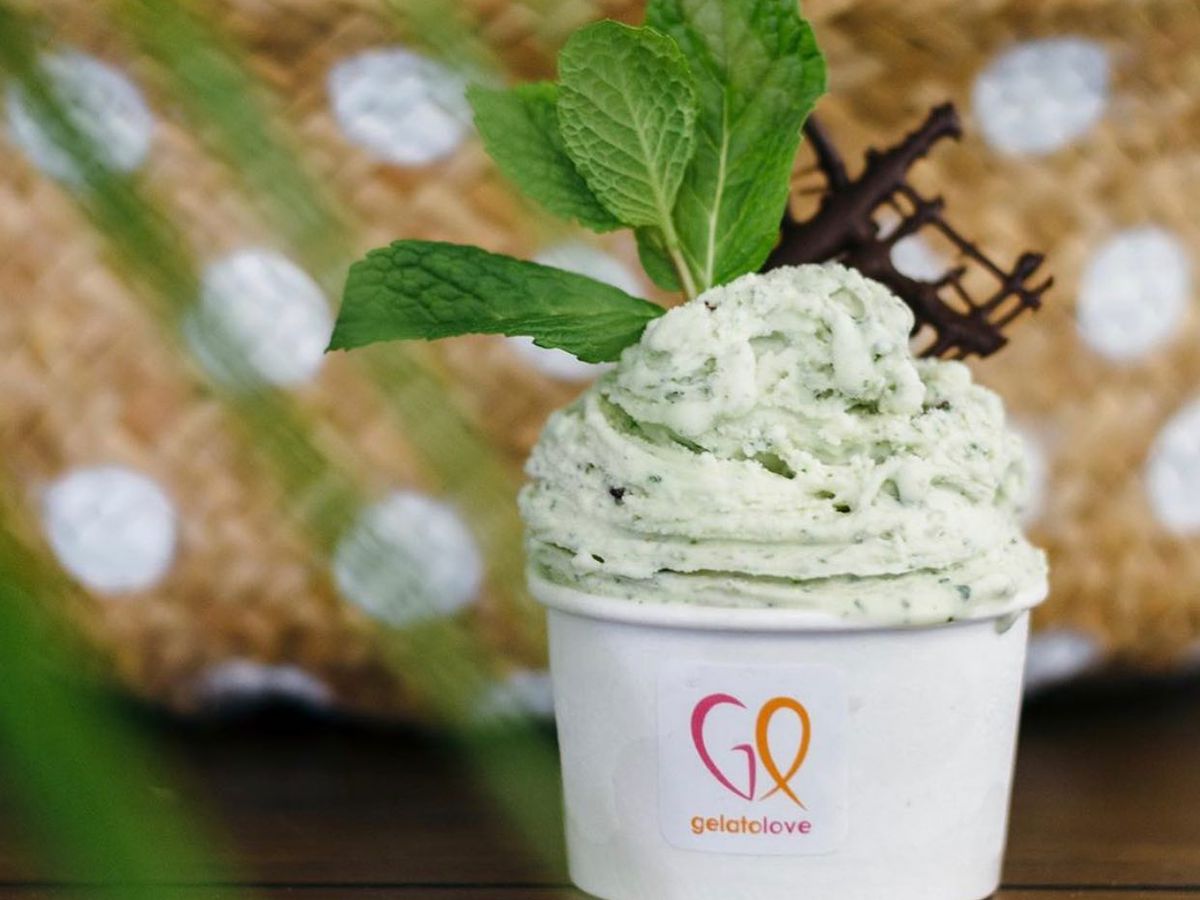 A cup of mint chocolate gelato.