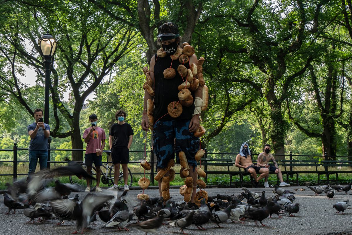A man tries to entice pigeons to land on his shoulders in Central Park, July 17, 2020.