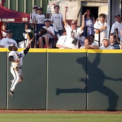 Central Arkansas's Jonathan Davis Jr. leaps into the centerfield wall to catch a fly ball in the second inning of an NCAA college baseball regional tournament game against Mississippi State in Starkville, Miss., Sunday June 2, 2013.