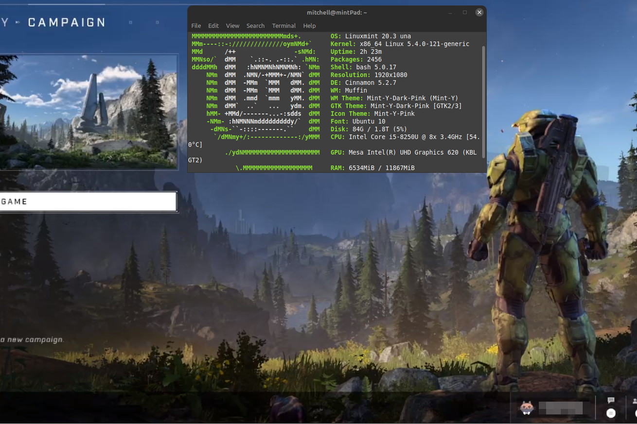 Image of Halo Infinite running behind a linux terminal.