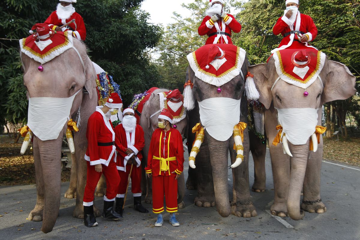 Santa Claus Elephants Distribute Face Masks