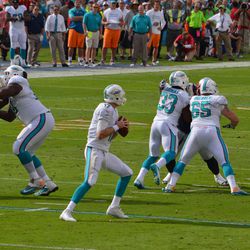 Dec. 15, 2013 Miami Gardens, FL - Miami Dolphins quarterback Ryan Tannehill (17) drops back to pass against the New England Patriots in a Week 15 contest.