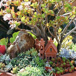 This photo released by Debra Lee Baldwin shows a miniature landscape with a jade plant behind the tiny building is in bloom, sedums and othonna fill the foreground, and a rock with interesting striations suggests a mountain. Design by Suzy Schaefer. (AP Photo/Debra Lee Baldwin)**NO SALES**