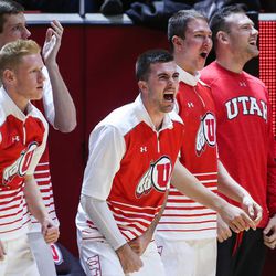Utah Utes players celebrate a point over the Utah Valley Wolverines during the game at the Huntsman Center in Salt Lake City on Tuesday, Dec. 6, 2016.