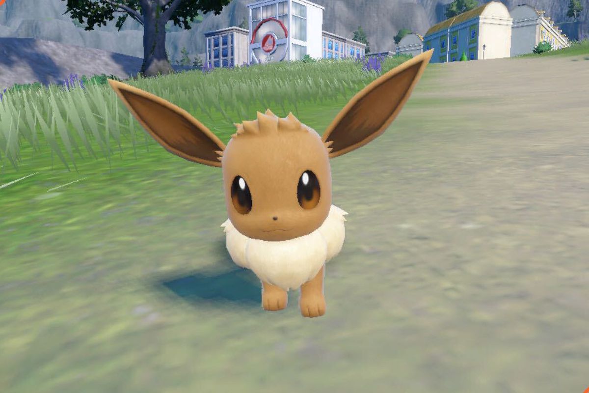 An head one image looking directly at the Pokémon Eevee in Pokémon Scarlet and Violet.