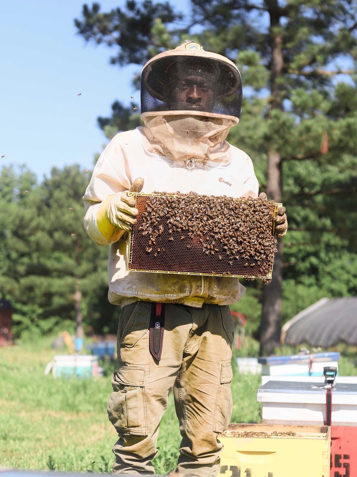 Man in a beekeeping outfit holding up a rectangle screen full of bees.
