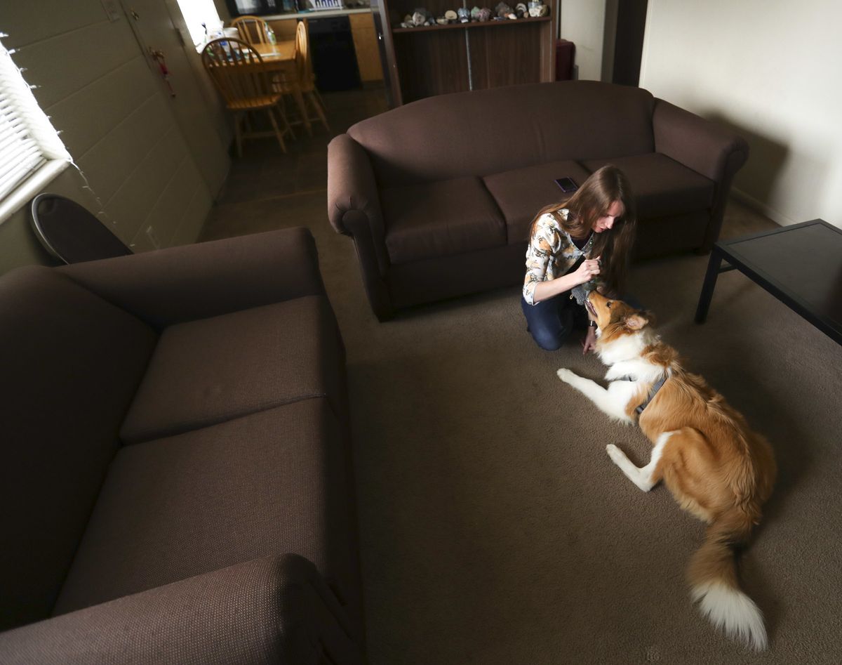 Tiffany Thayne, 25, plays with her emotional support dog Dusty in her apartment in Provo on Wednesday, March 13, 2019. Thayne is training Dusty, a Collie puppy.