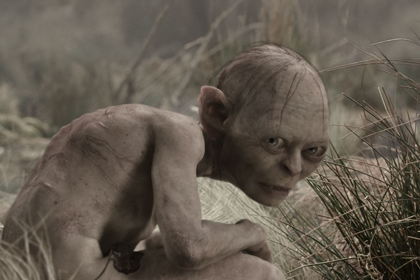 Onweersbui Hangen vrijwilliger Gollum in Lord of the Rings is Andy Serkis' misunderstood triumph - Polygon
