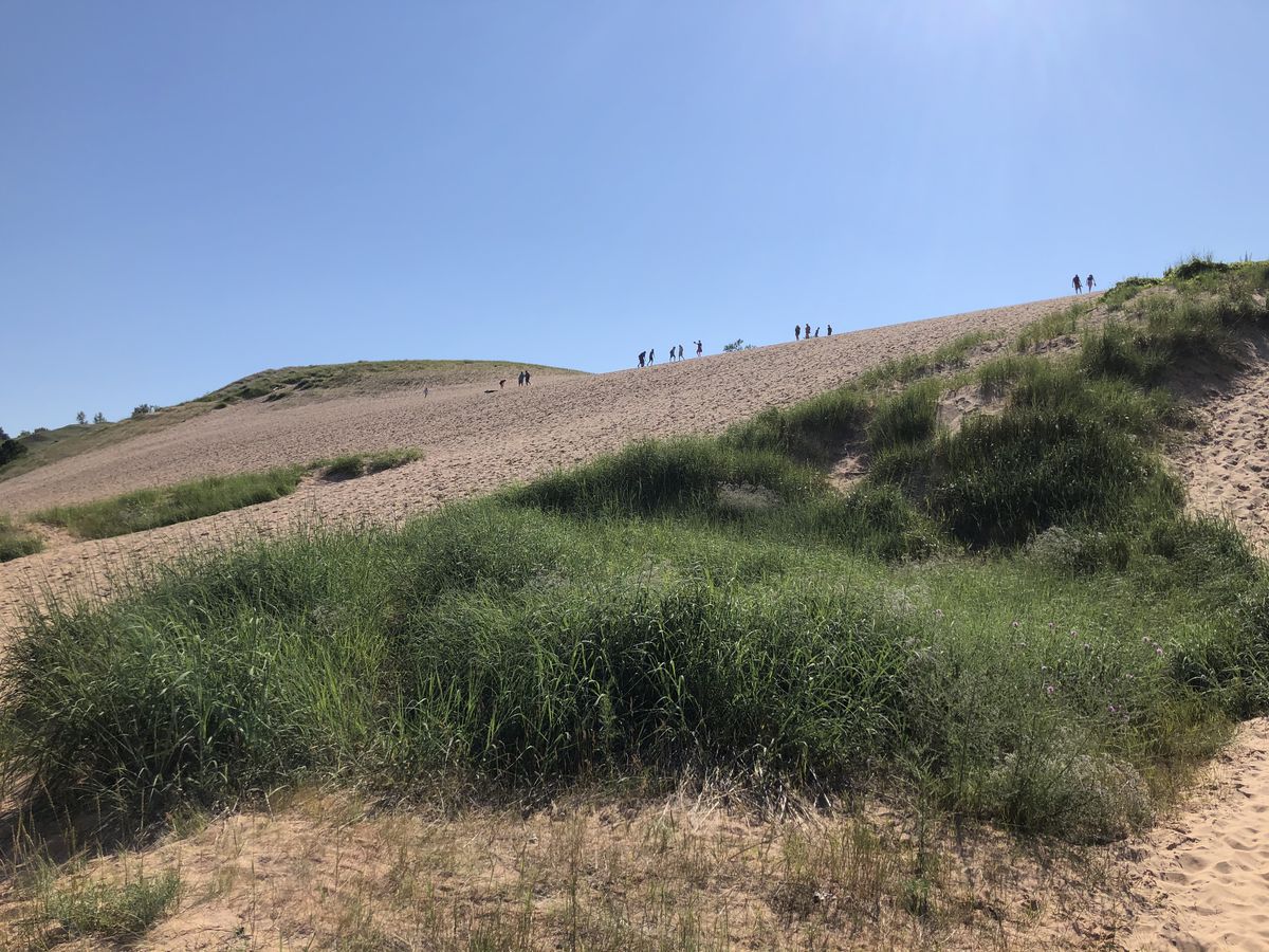 A large sand dune with grasses.