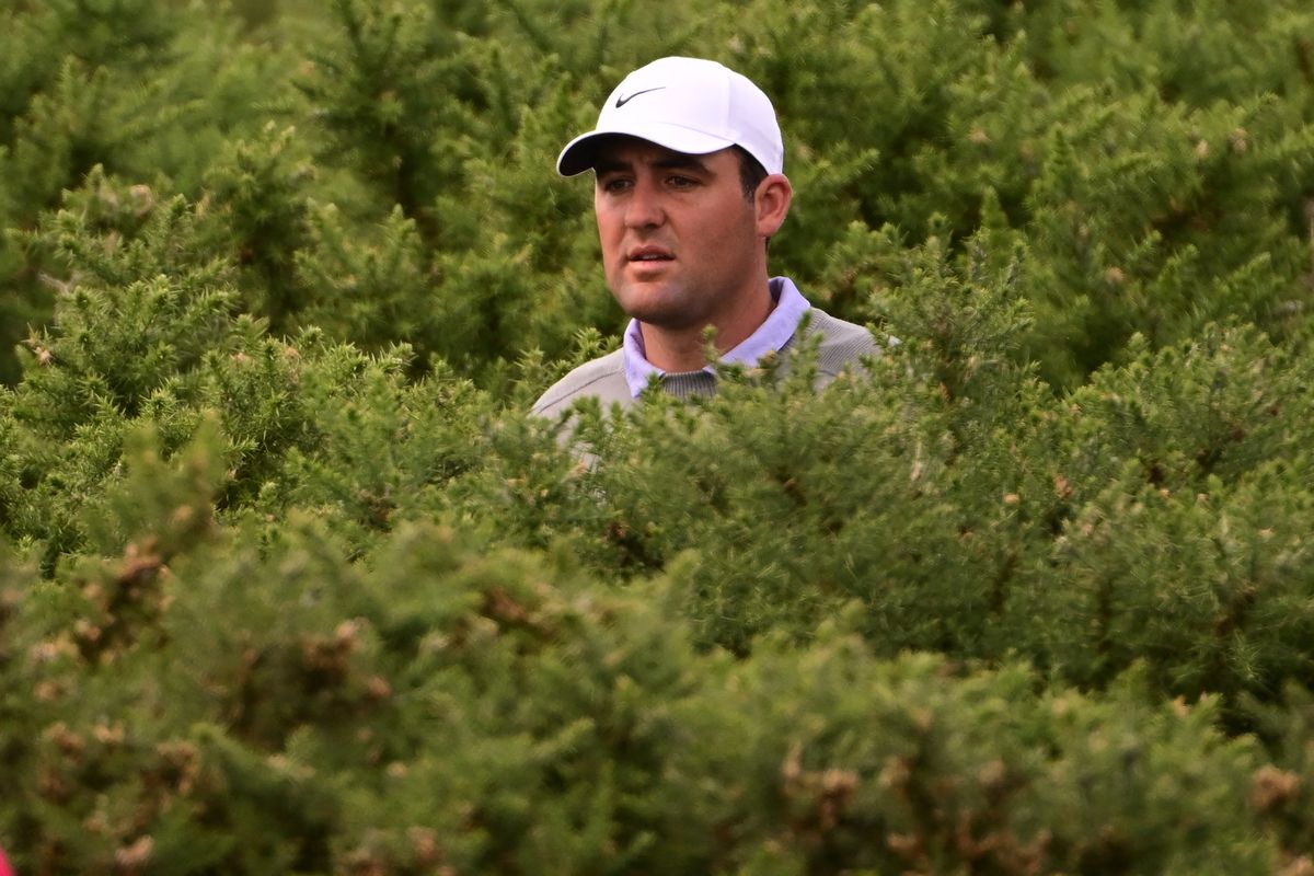 US golfer Scottie Scheffler searches for his ball on the 9th hole in the gorse bushes during his final round on day 4 of The 150th British Open Golf Championship on The Old Course at St Andrews in Scotland on July 17, 2022.