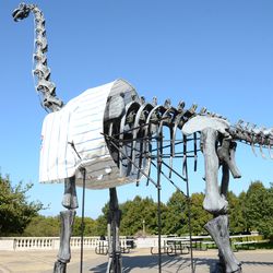 2:54 p.m. A view of the back of the dinosaur skeleton outside of the Field Museum - 