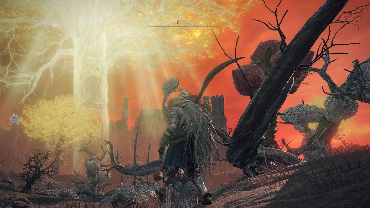 The Elden Ring player character looks at the golden Erdtree beyond Caelid