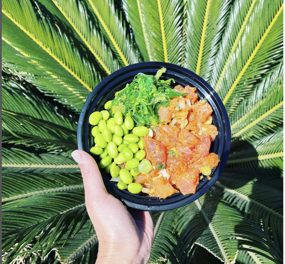 A bowl of poke in front of a plant.