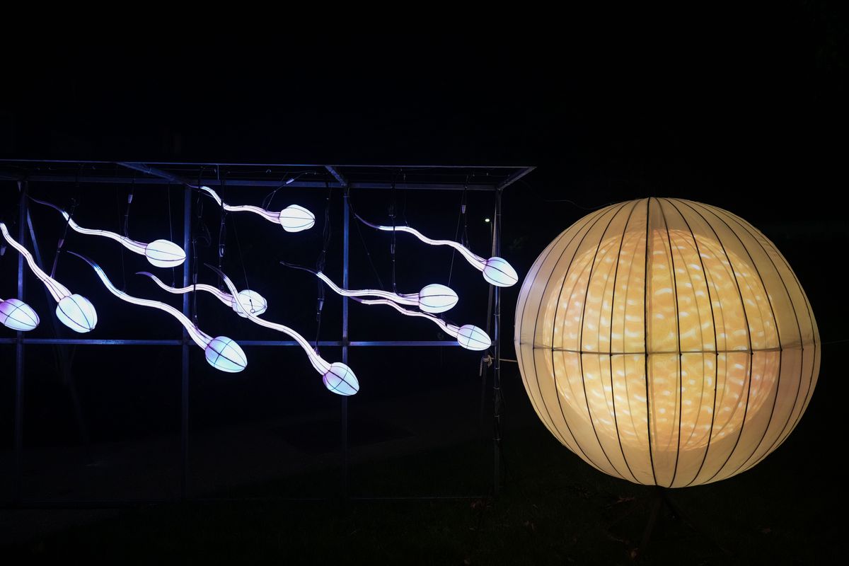 “Mini-Mondes En Voie D’Illumination - Mini Worlds On The Way To Illumination” : Light Festival At Jardin Des Plantes In Paris