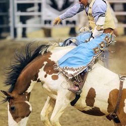 Matt Crumpler, hangs on during his bareback ride in the Days of 47 Rodeo Tuesday, July 22, 2014, at EnergySolutions Arena in Salt Lake City.