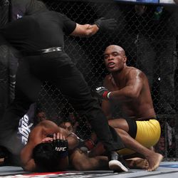 UFC 134 Photos