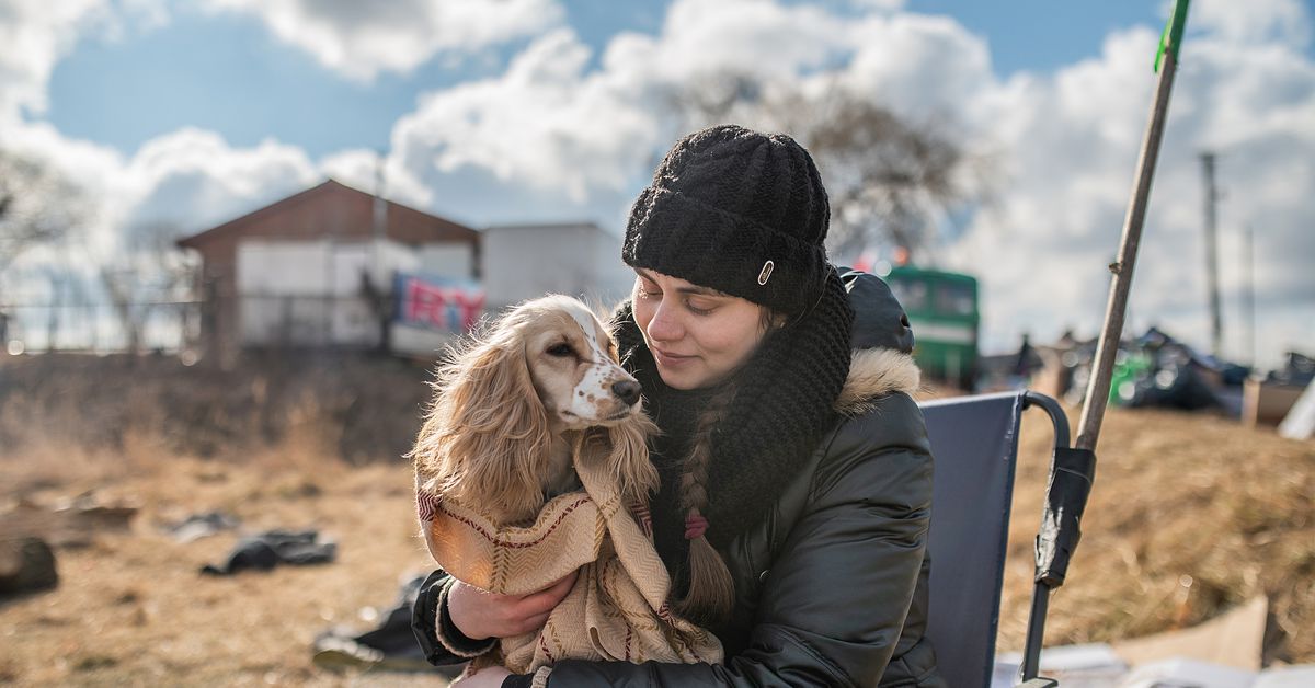 How the Russian invasion of Ukraine has hurt animals