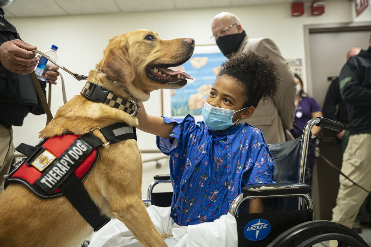 Naya Opara, 8, pets K9 Zilly during a ceremony to celebrate the reintroduction of therapy dogs at Saint Anthony Hospital 2875 W 19th St in Lawndale, Monday, April 19, 2021.