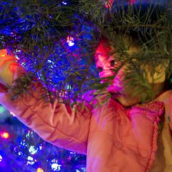 Mia Li, 1, grasps a light during the annual lighting of the Christmas tree at The Gateway in Salt Lake City on Saturday, Nov. 19, 2016. Participants drank hot chocolate and ate cookies as they watched the tree shine for the first time this holiday season.