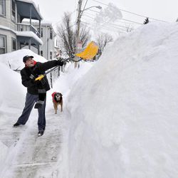 Lee Anderson adds to the pile of snow beside the sidewalk in front of his house in Somerville, Mass., Tuesday, Feb. 10, 2015, as his dog Ace looks on. The latest snowstorm left the Boston area with another two feet of snow and forced the MBTA to suspend all rail service for the day. 
