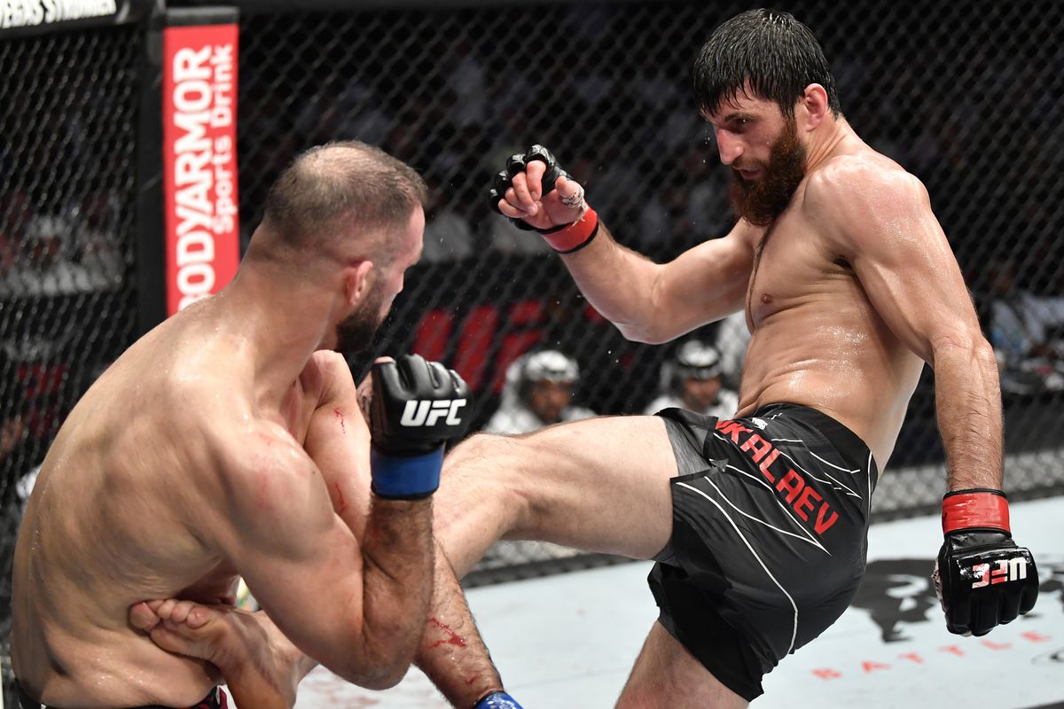 UFC 267: Ankalaev v Oezdemir