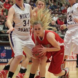 Delta defeated North Summit 55-34 on Feb. 26, 2015 in the 2A girls quarterfinals.