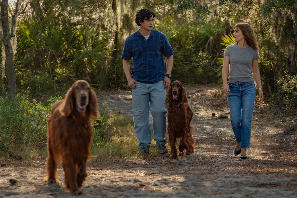 Melton and Portman walk outside with two dogs.
