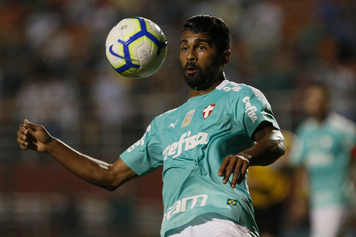 Palmeiras v Botafogo- Brasileirao Series A 2019